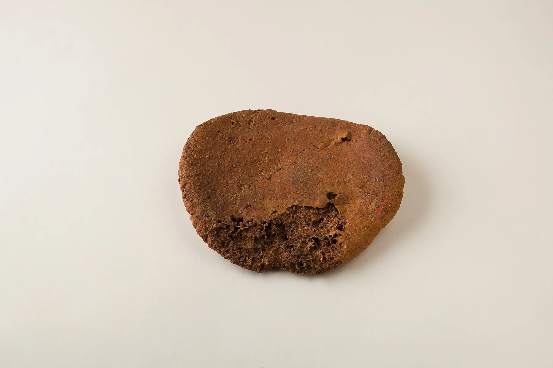 Preserved ancient Egyptian bread loaf on a neutral background