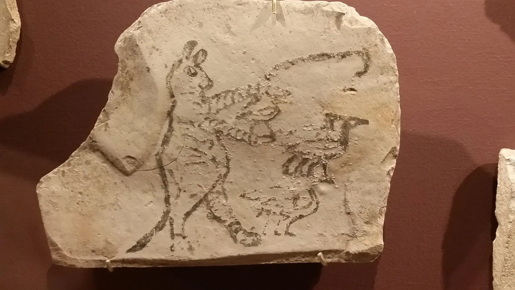Limestone ostracon with a sketch of animals