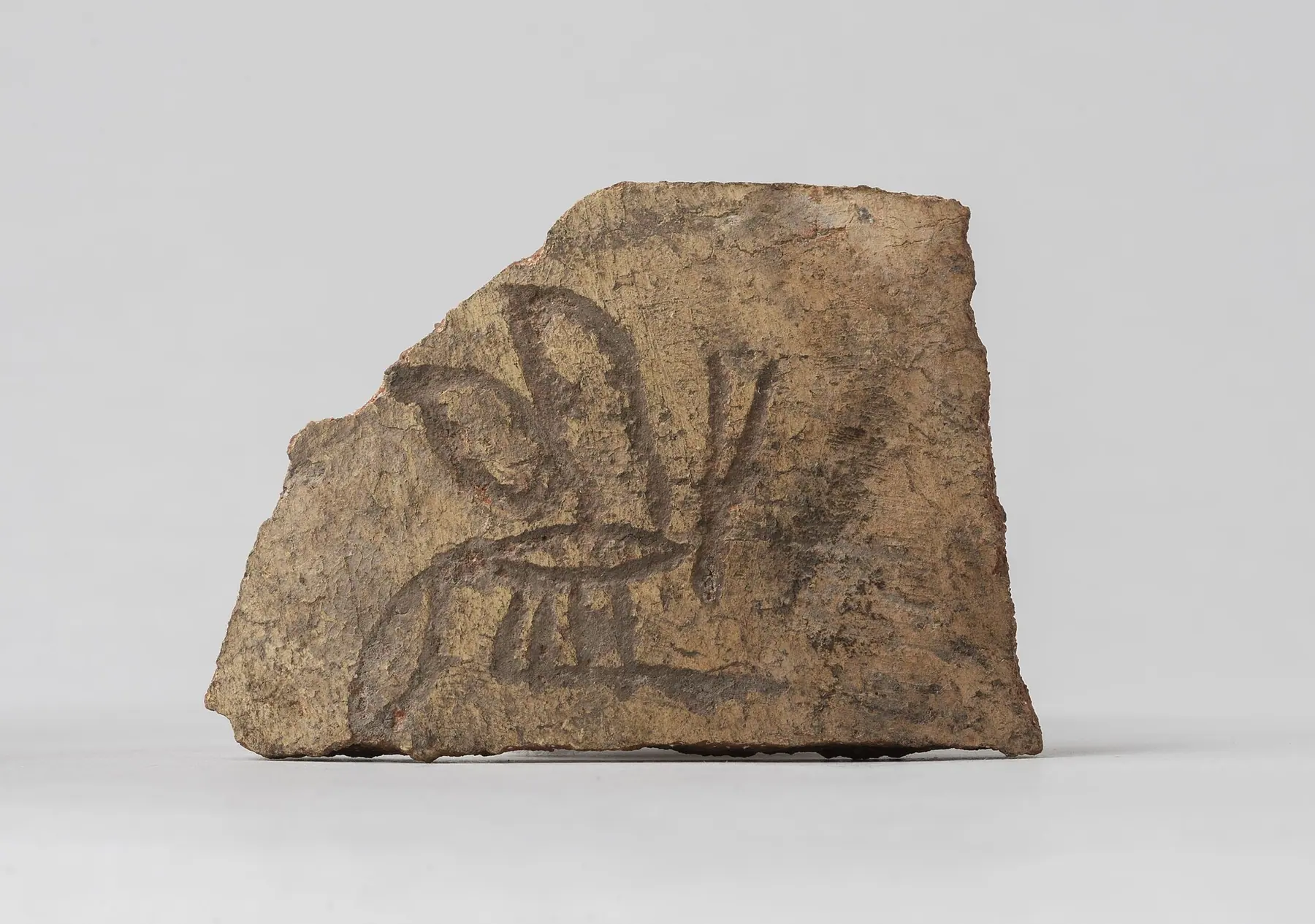 Painted pottery fragment showing a stylised animal